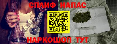дмт Можайск