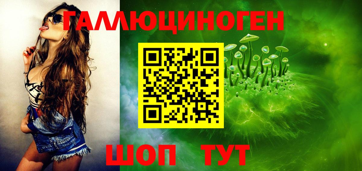 Галлюциногенные грибы GOLDEN TEACHER Тимашёвск
